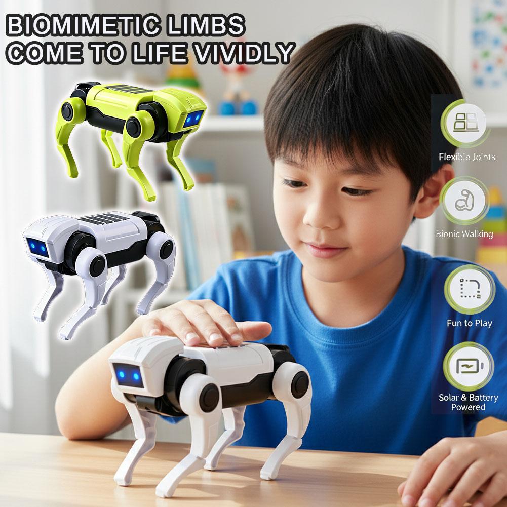 Science Project Robot - DIY Assembly RC Robot Dog Toy