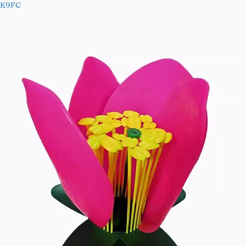 K9FC Realistic Plant Teaching  - Science Exhibition Models 评论和价格