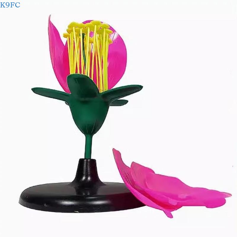 K9FC Realistic Plant Teaching  - Science Exhibition Models 评论和价格