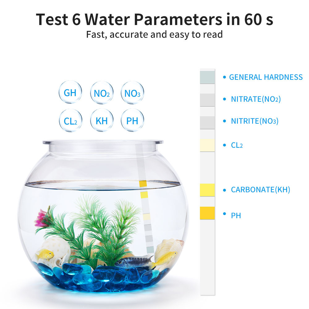 6-In-1 Water Quality Test Stri - Water Testing Kit 评论和价格