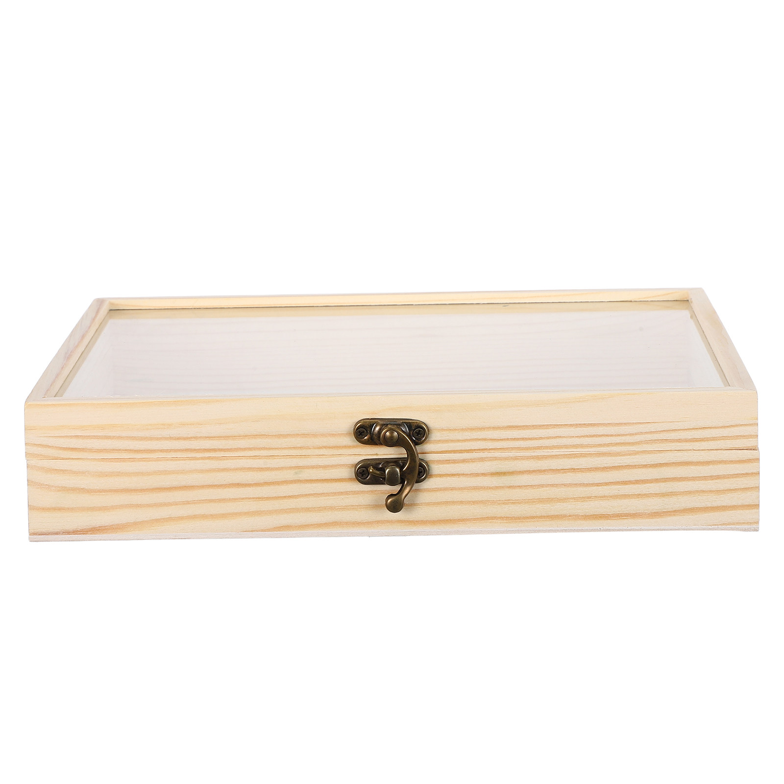 Solid Wood Insect Specimen Dis - Science Project 评论和价格