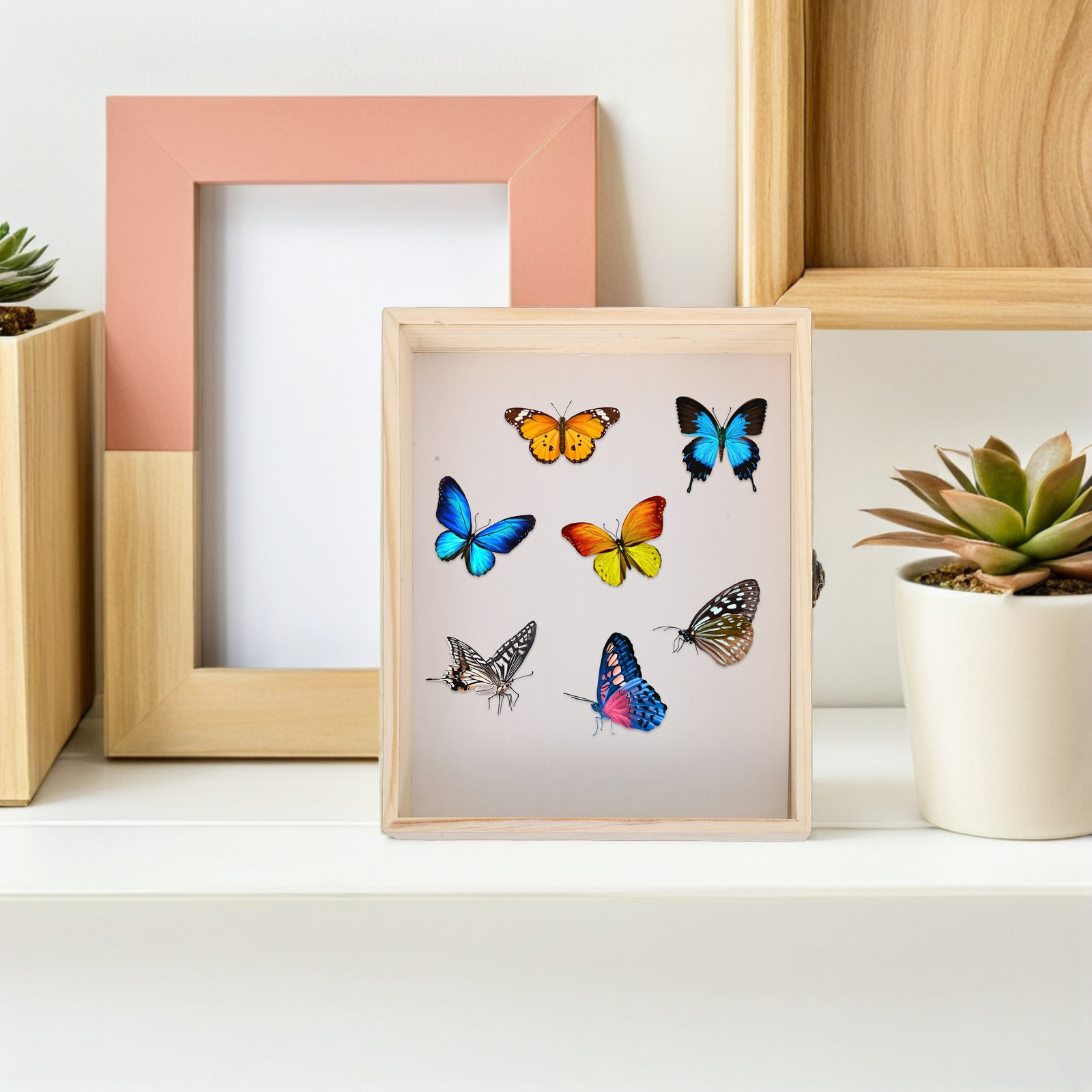 Solid Wood Insect Specimen Dis - Science Project 评论和价格
