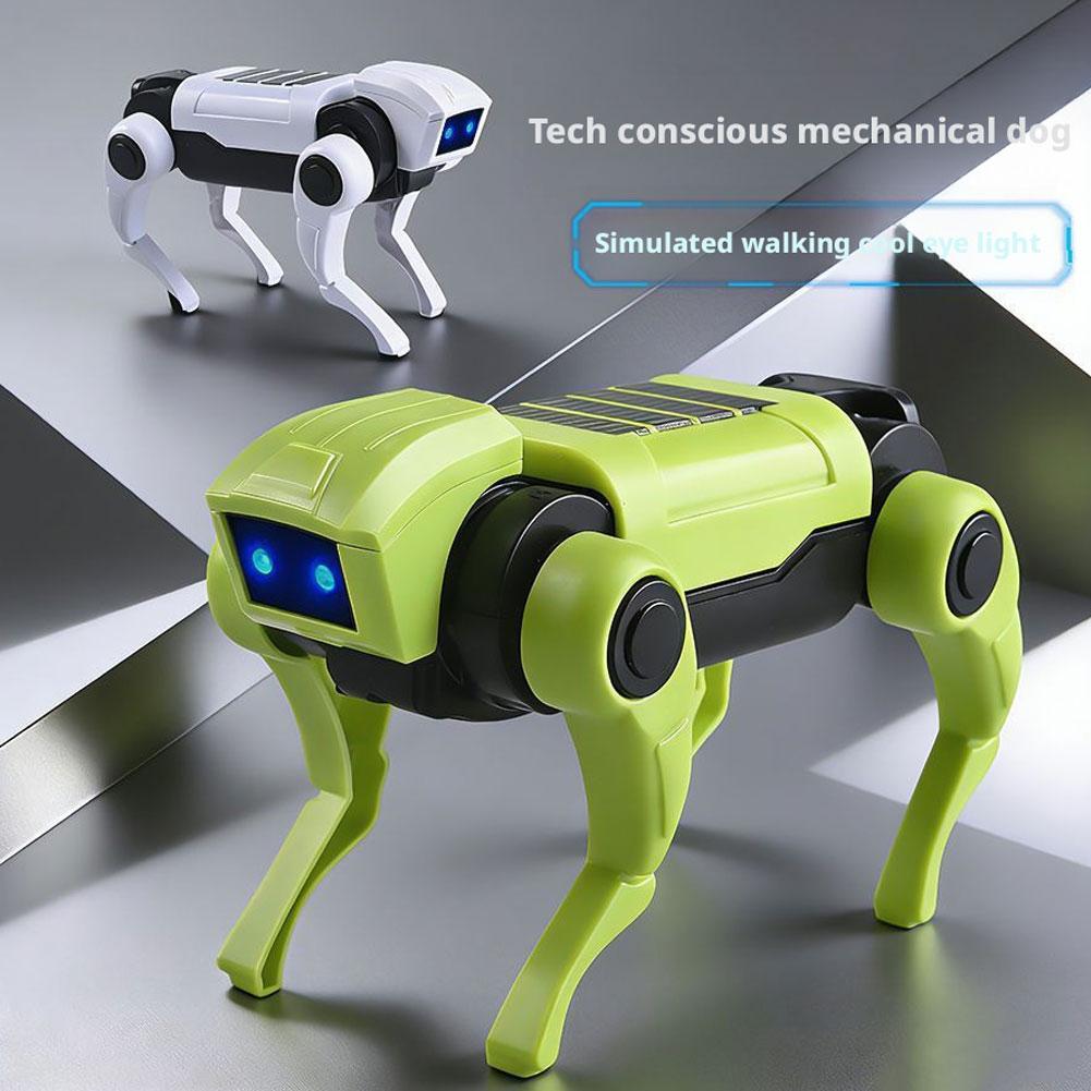 Kids DIY Assembly Electric Bio - Science Project Robot 评论和价格