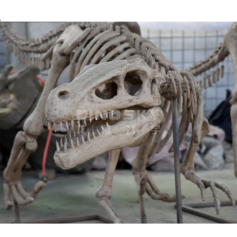 ATV&UTVResin Raptor Skeleton F - Science Exhibition Models 评论和价格